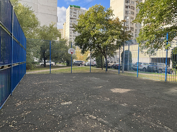 ул. Братиславская д.8, корп.1